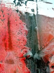 andrea-frister-a002g