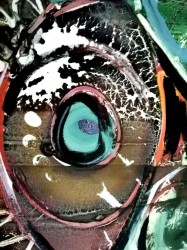 andrea-frister-a009g