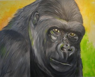 maria-schwab-2024_8g