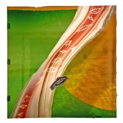 Rudi-Stowasser-4-P1080246